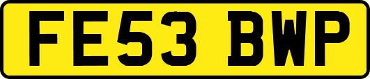 FE53BWP