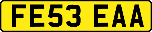 FE53EAA