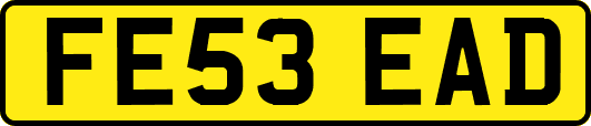 FE53EAD