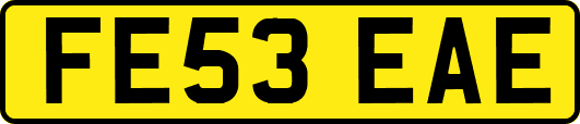 FE53EAE