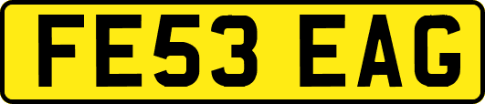 FE53EAG