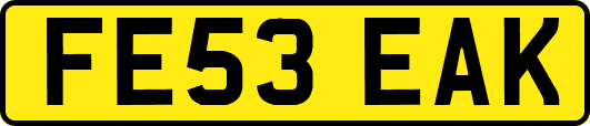FE53EAK
