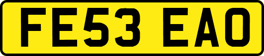 FE53EAO