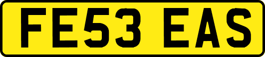 FE53EAS