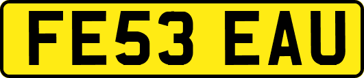 FE53EAU