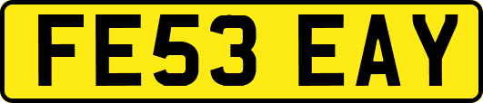 FE53EAY