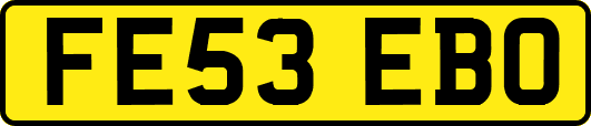 FE53EBO