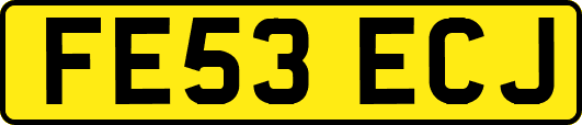 FE53ECJ