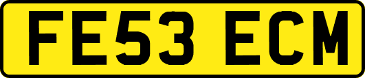 FE53ECM