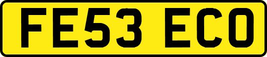 FE53ECO