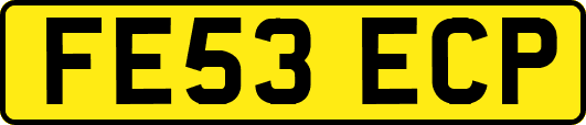 FE53ECP