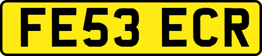 FE53ECR
