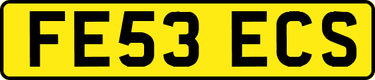 FE53ECS