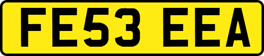 FE53EEA