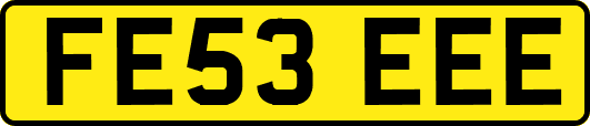 FE53EEE