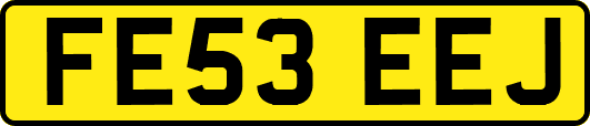 FE53EEJ