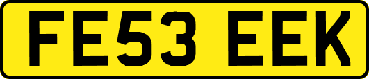 FE53EEK