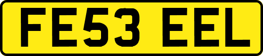 FE53EEL