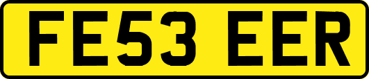 FE53EER