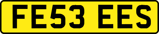 FE53EES