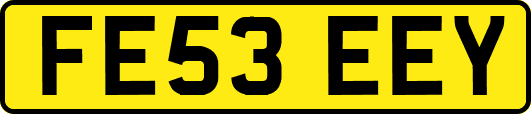 FE53EEY