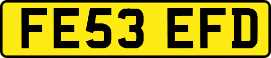 FE53EFD