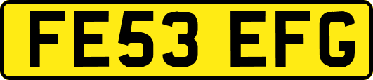 FE53EFG