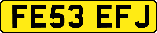 FE53EFJ