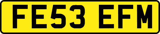 FE53EFM