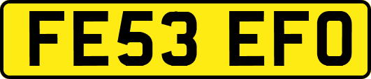 FE53EFO