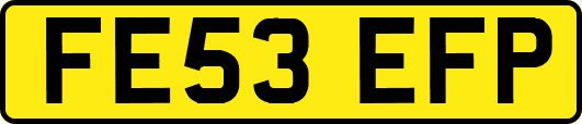 FE53EFP