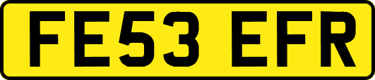 FE53EFR