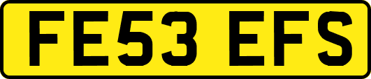 FE53EFS
