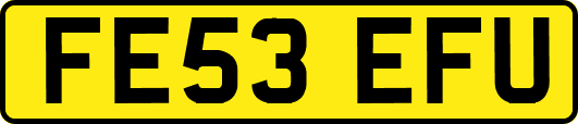 FE53EFU