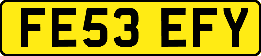 FE53EFY