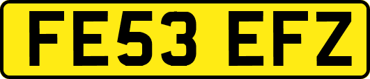 FE53EFZ