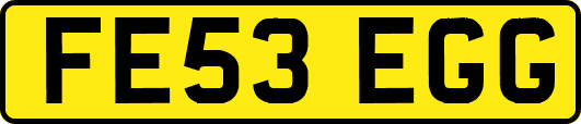 FE53EGG