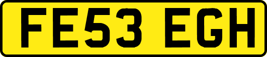 FE53EGH