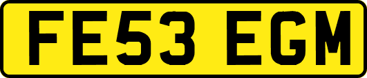 FE53EGM