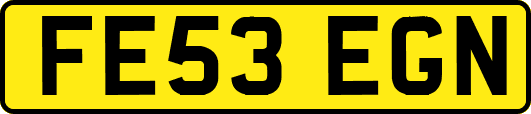 FE53EGN