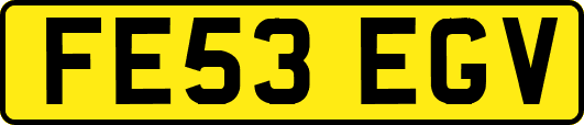 FE53EGV