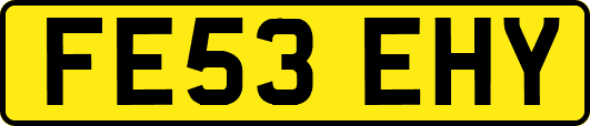 FE53EHY