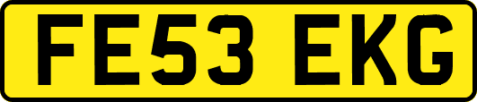 FE53EKG