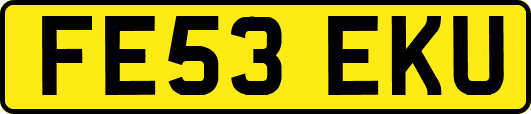 FE53EKU