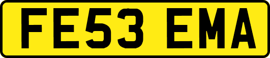 FE53EMA