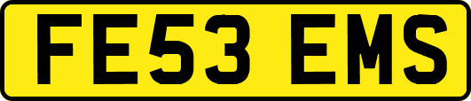FE53EMS