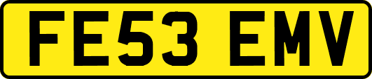 FE53EMV
