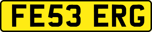 FE53ERG