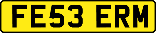 FE53ERM