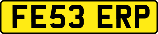 FE53ERP